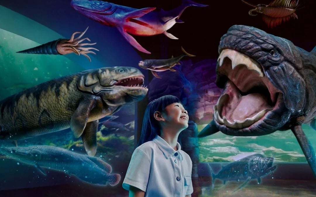 Combo: Universal Studios Singapore + Singapore Oceanarium + Adventure Cove Waterpark Tickets Image 11