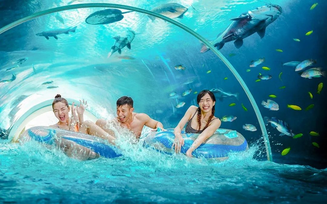 Combo: Universal Studios Singapore + Singapore Oceanarium + Adventure Cove Waterpark Tickets Image 3
