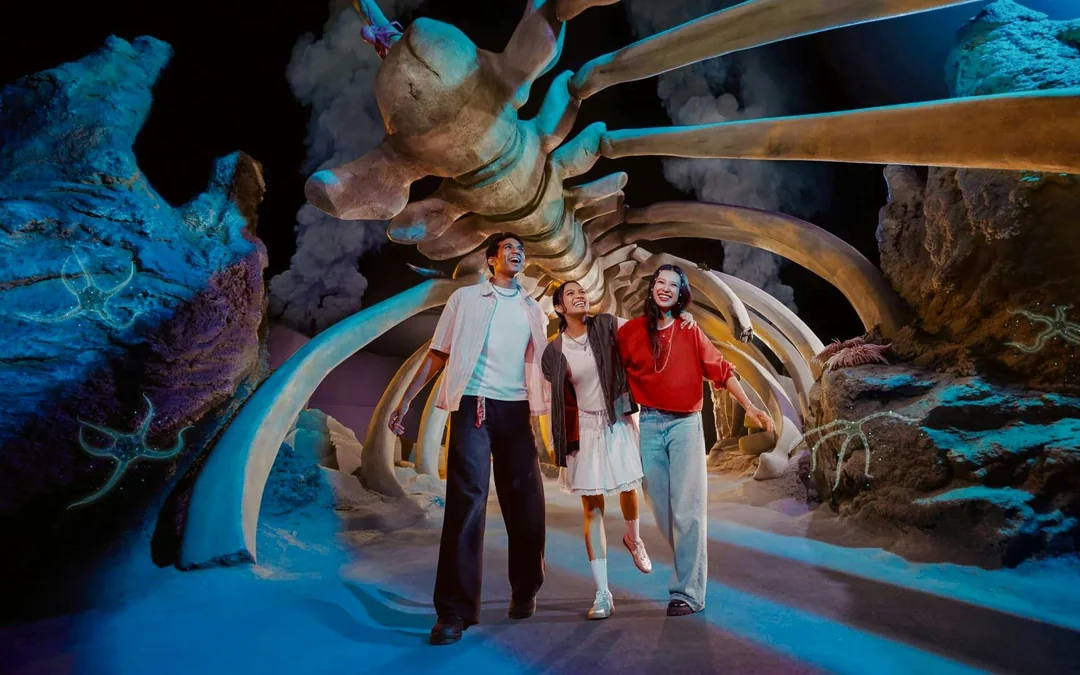 Combo: Universal Studios Singapore + Singapore Oceanarium + Adventure Cove Waterpark Tickets Image 5