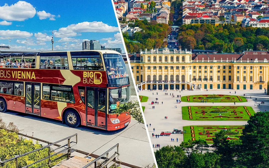 Combo: Vienna Hop-on Hop-off Bus Tour + Schönbrunn Palace & Belvedere Palace Tickets Image 1