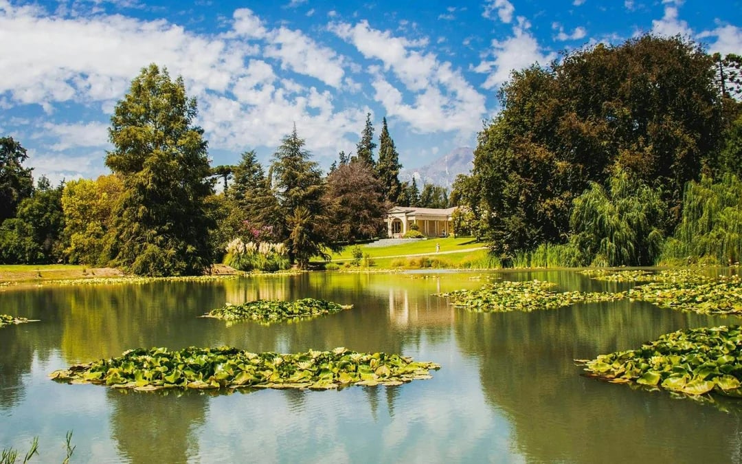 Concha y Toro Winery: Premium Experience at the Wine Center Image 1