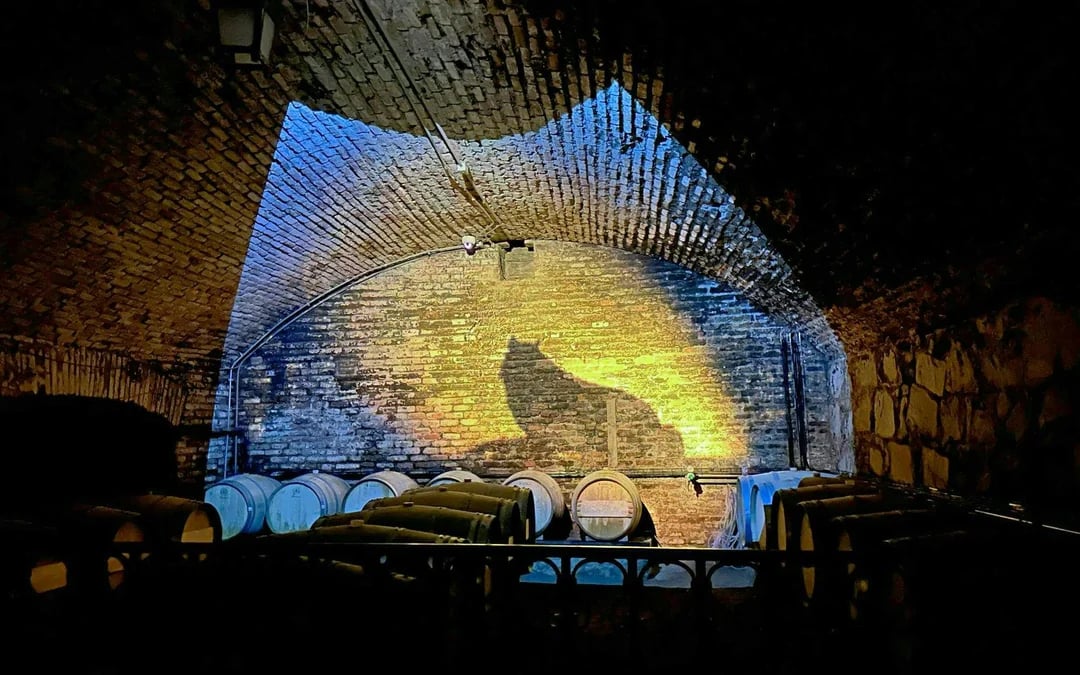 Concha y Toro Winery: Premium Experience at the Wine Center Image 2