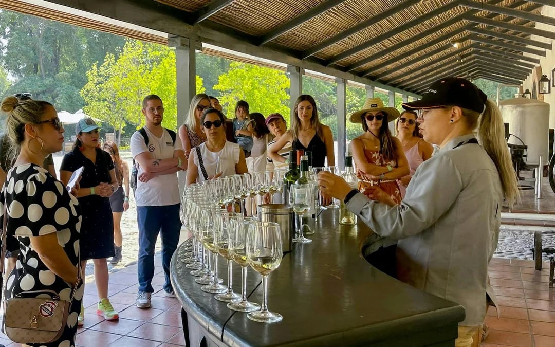 Concha y Toro Winery: Premium Experience at the Wine Center Image 4
