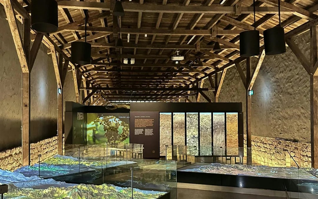 Concha y Toro Winery: Premium Experience at the Wine Center Image 5