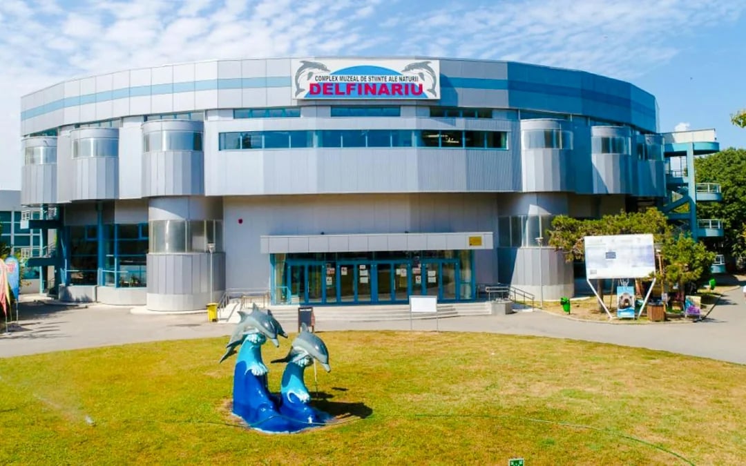 Constanța: Dolphinarium Show Tickets, Microreservation Access & Hydrobike Rental Image 5