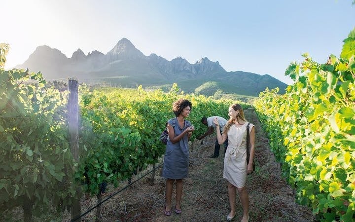 Constantia Winelands Private Wine Tour from Cape Town Image 3