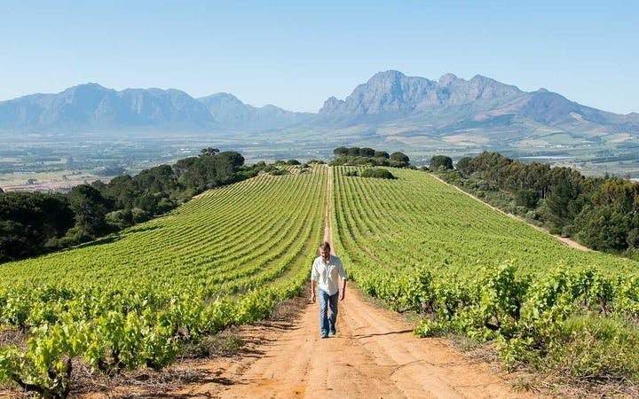 Constantia Winelands Private Wine Tour from Cape Town Image 5