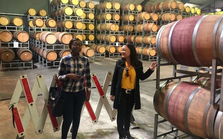 Constantia Winelands Private Wine Tour from Cape Town Image 7