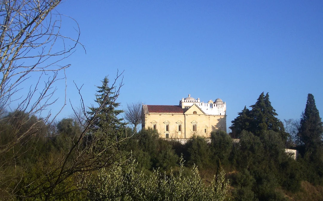 Convent of Christ in Tomar Entry Tickets Image 4