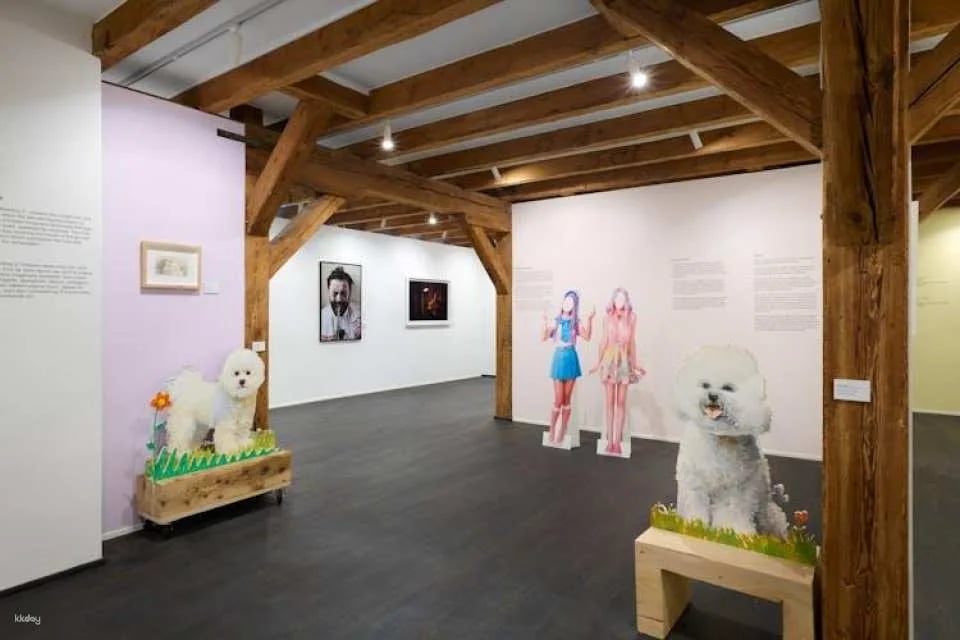 Copenhagen  MACA Museum tickets and audio-guided tour
