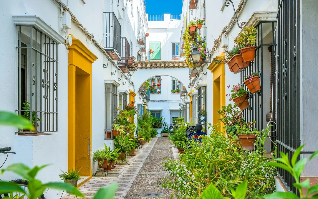 Cordoba Mosque-Cathedral & Jewish Quarter Guided Tour Image 8