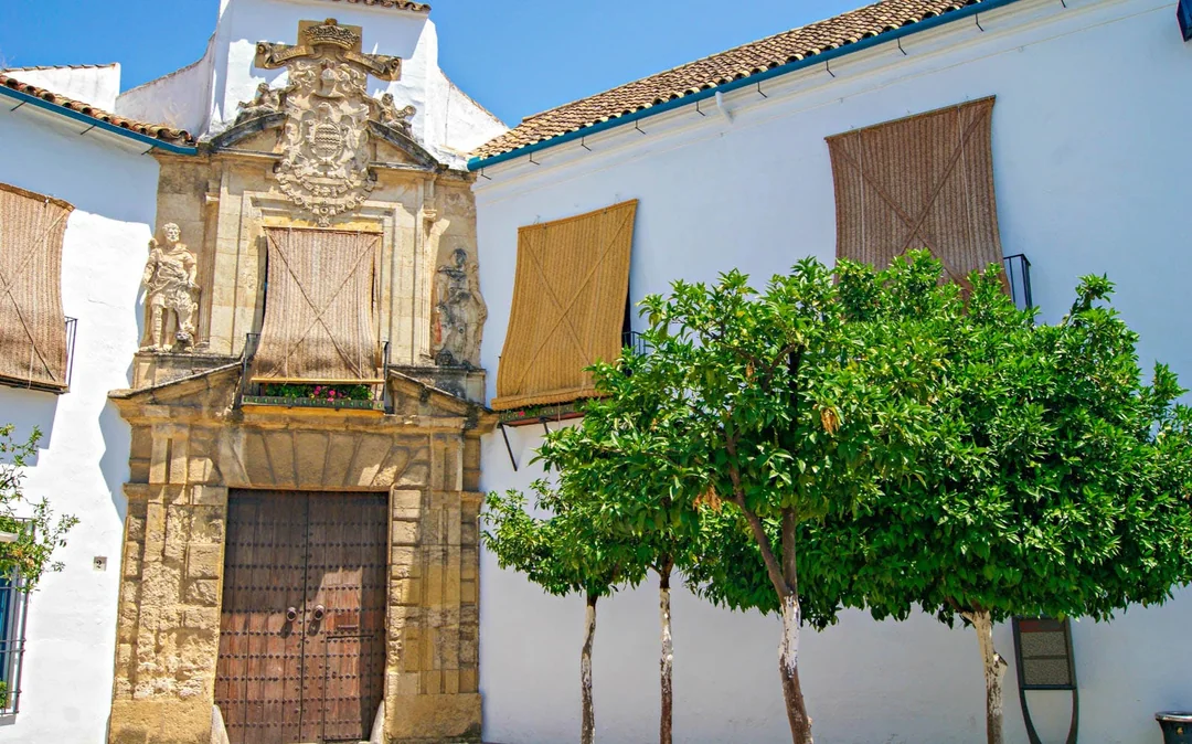 Cordoba Mosque Day Trip from Granada Image 4