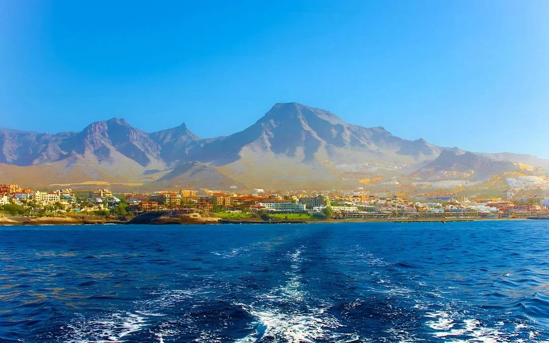 Costa Adeje: Whale & Dolphin Watching Cruise with Hotel Transfers Image 11