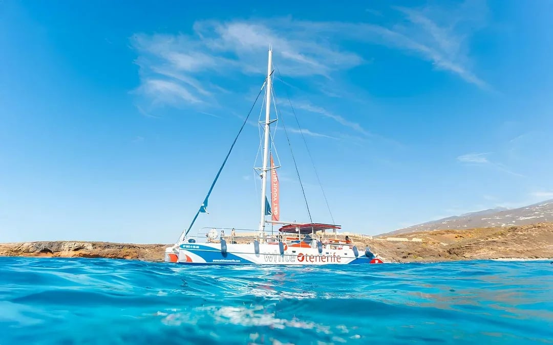 Costa Adeje: Whale & Dolphin Watching Cruise with Hotel Transfers Image 6