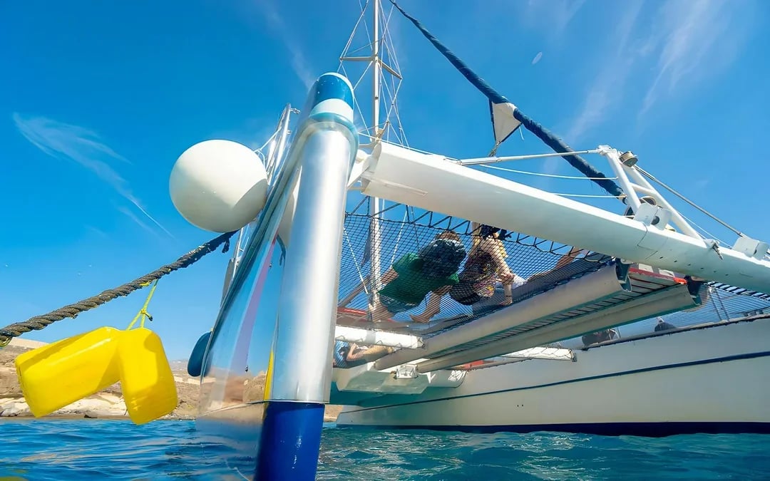 Costa Adeje: Whale & Dolphin Watching Cruise with Hotel Transfers Image 7