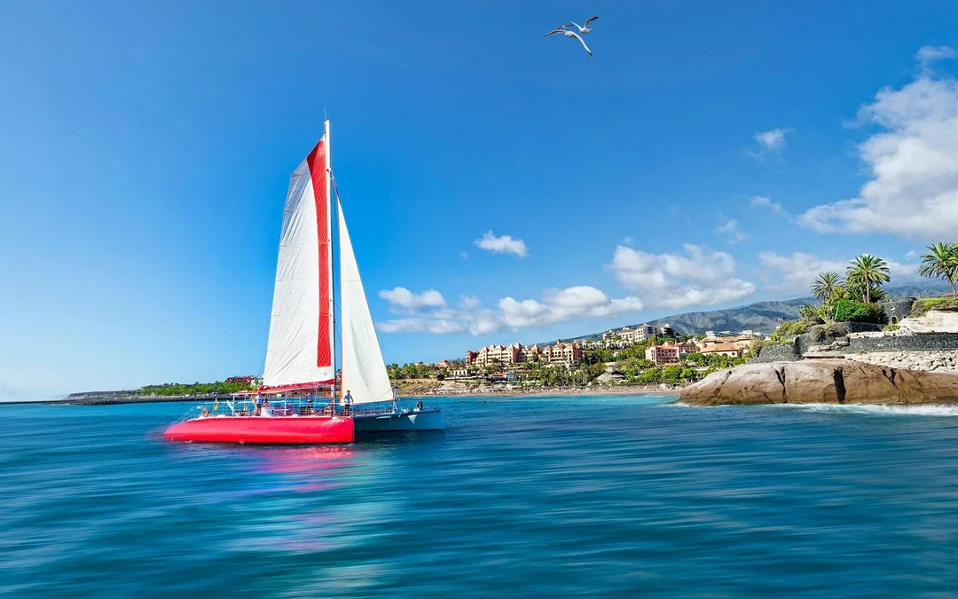 Costa Adeje: Whale & Dolphin Watching Cruise  Image 2