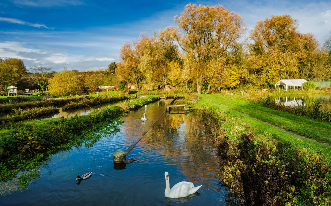 Cotswolds Guided Tour with Optional Lunch at a Historic Inn Image 5