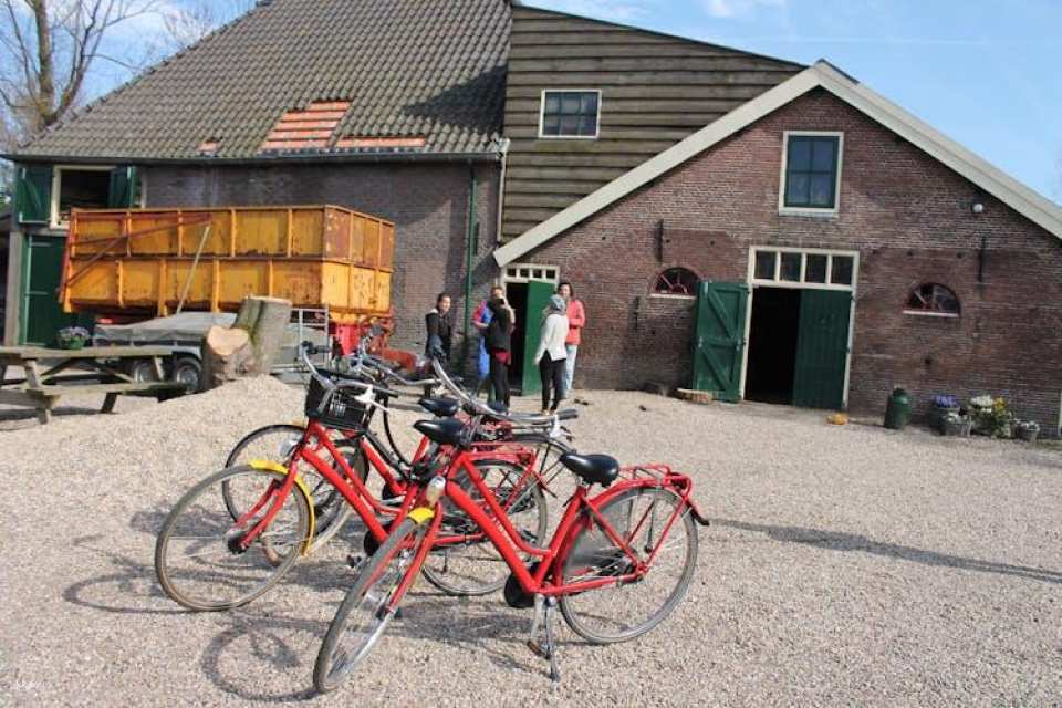 Countryside bike tour with windmill, cheese and clogs