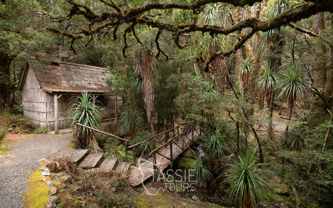Cradle Mountain Explorer: Hobart to Launceston Image 4