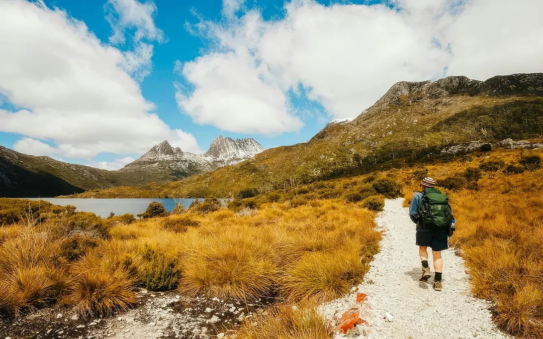 Cradle Mountain National Park Guided Walking Tour Image 2