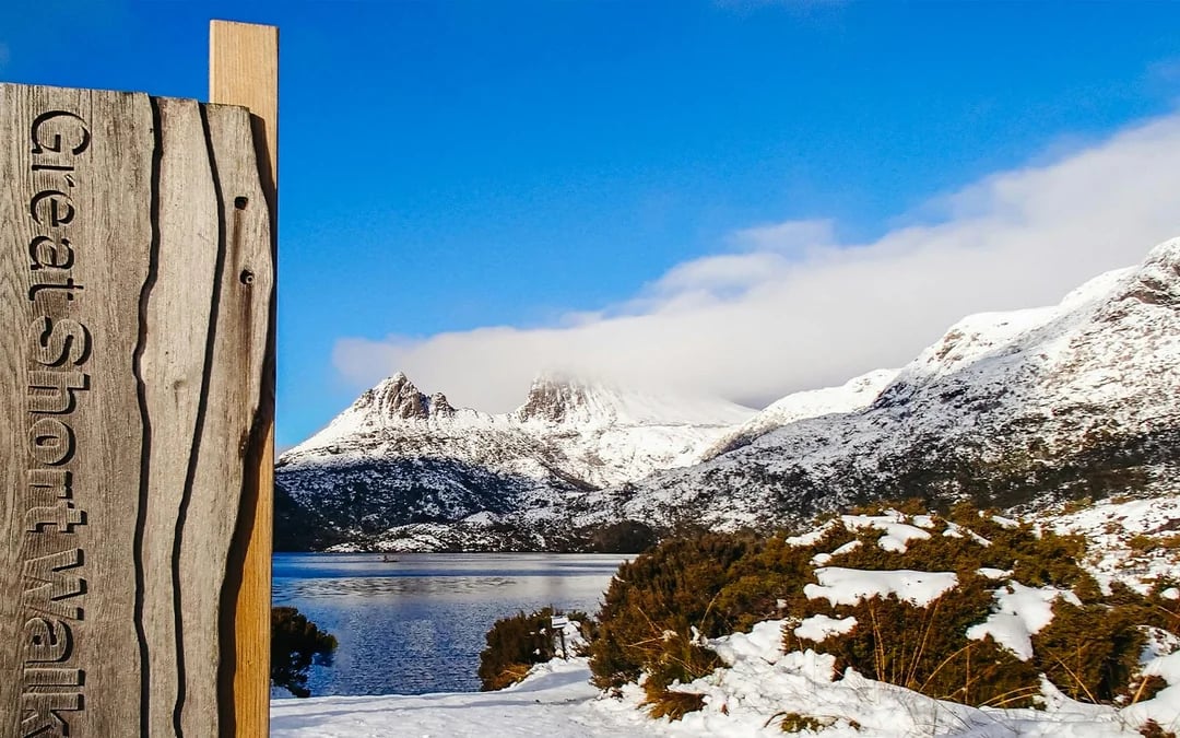 Cradle Mountain National Park Guided Walking Tour Image 5