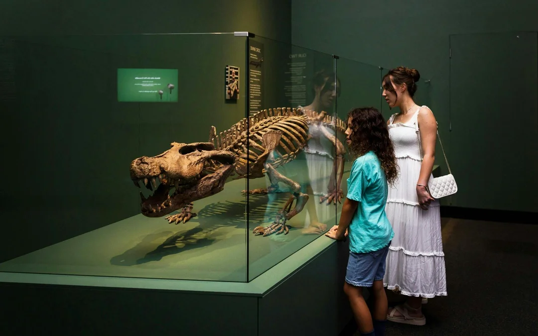 Croc! Lost Giants to Living Legends Exhibition at Queensland Museum Image 1