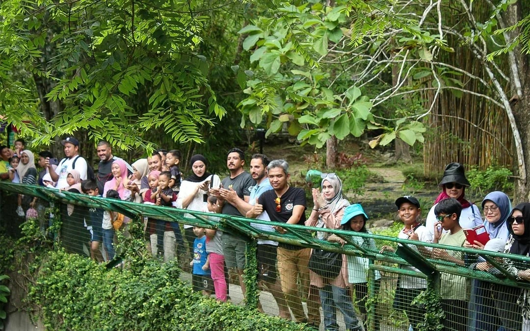 Crocodile Adventureland Langkawi Tickets Image 5