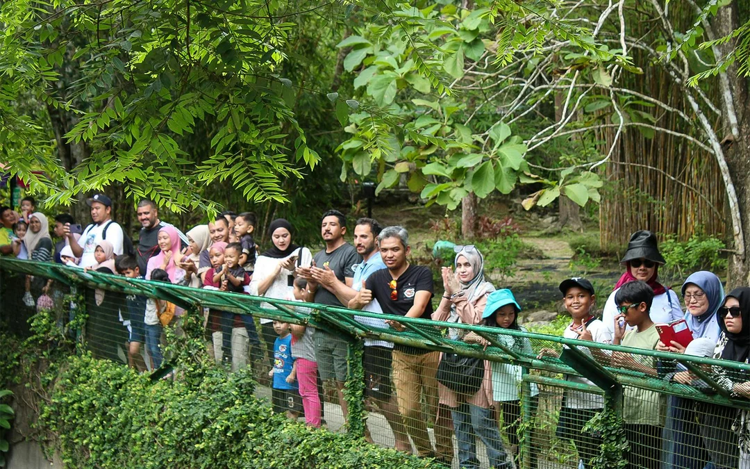 Crocodile Adventureland Langkawi Tickets Image 5