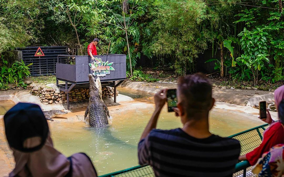 Crocodile Adventureland Langkawi Tickets Image 10