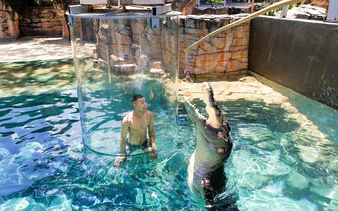 Crocosaurus Cove Tickets with Cage of Death Experience Image 2