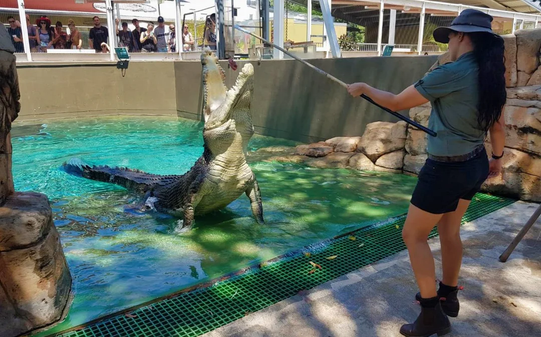 Crocosaurus Cove Tickets with Cage of Death Experience Image 10
