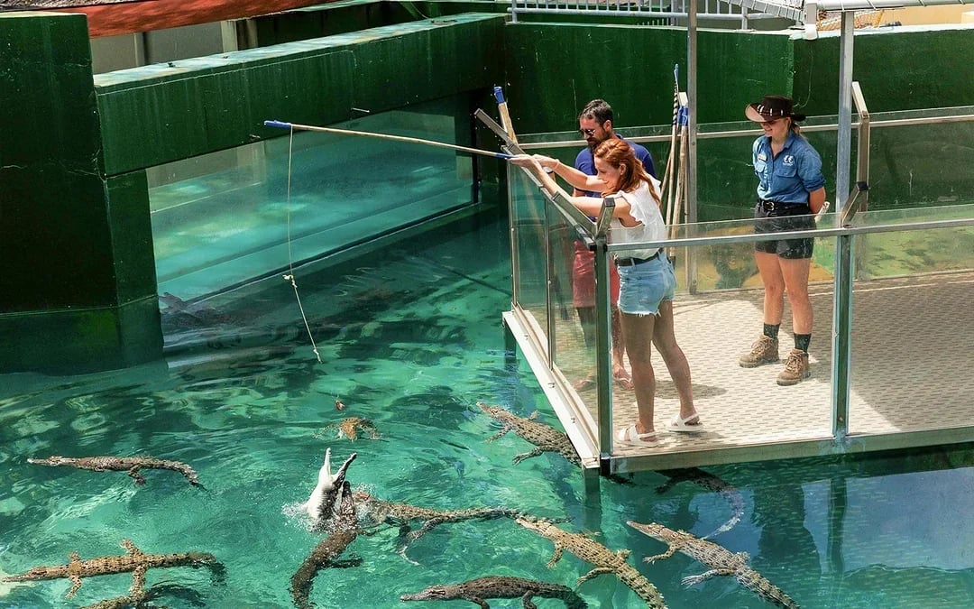 Crocosaurus Cove Tickets with VIP Tour Image 1