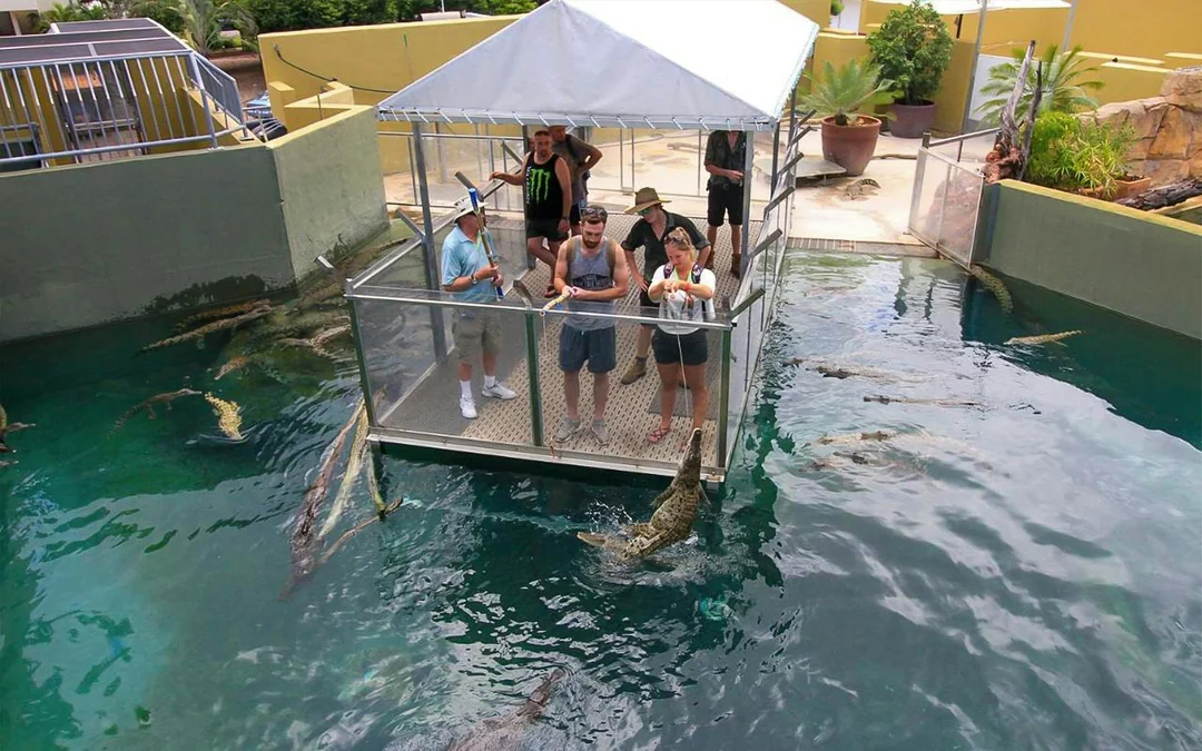 Crocosaurus Cove Tickets with VIP Tour Image 2