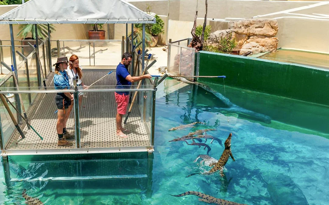 Crocosaurus Cove Tickets with VIP Tour Image 3