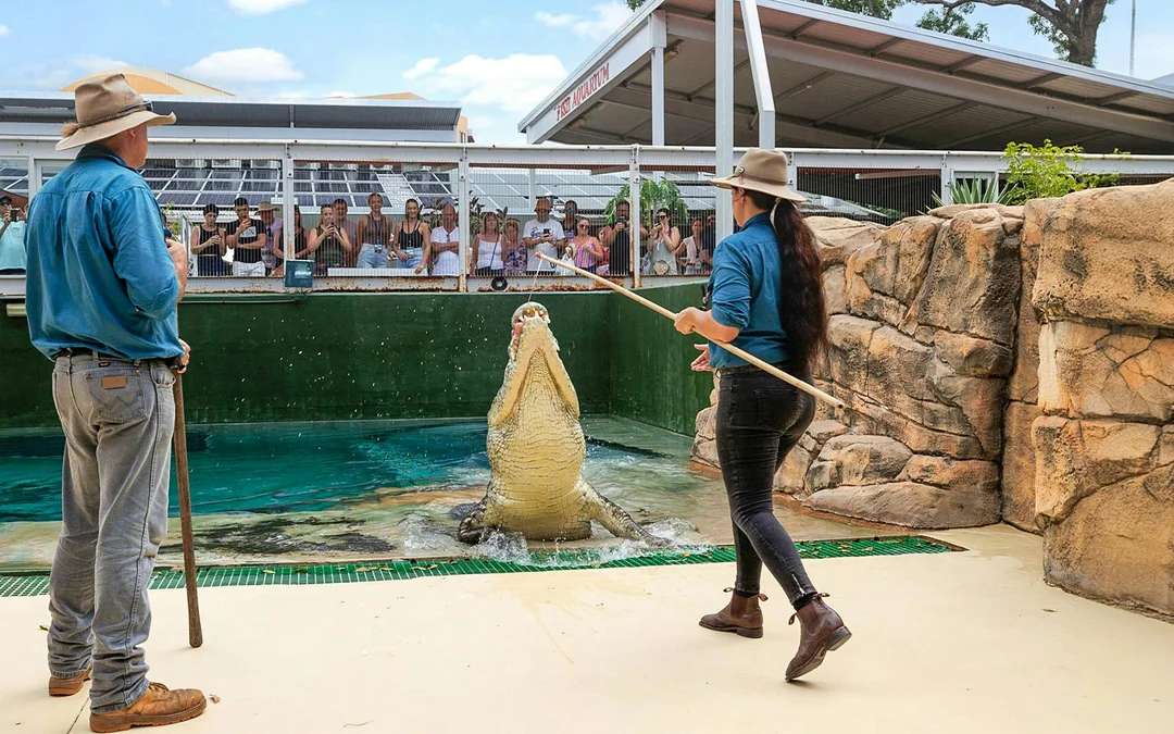 Crocosaurus Cove Tickets with Whipray Encounter Image 4