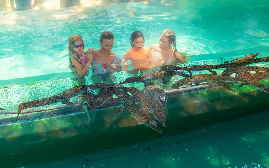 Crocosaurus Cove Tickets Image 10
