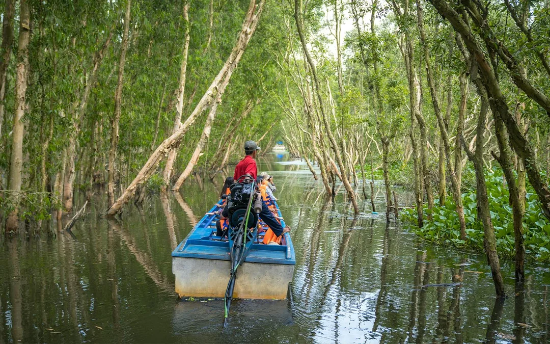 Cu Chi Tunnels & Mekong Delta with Coconut Village Full Day Tour Image 5