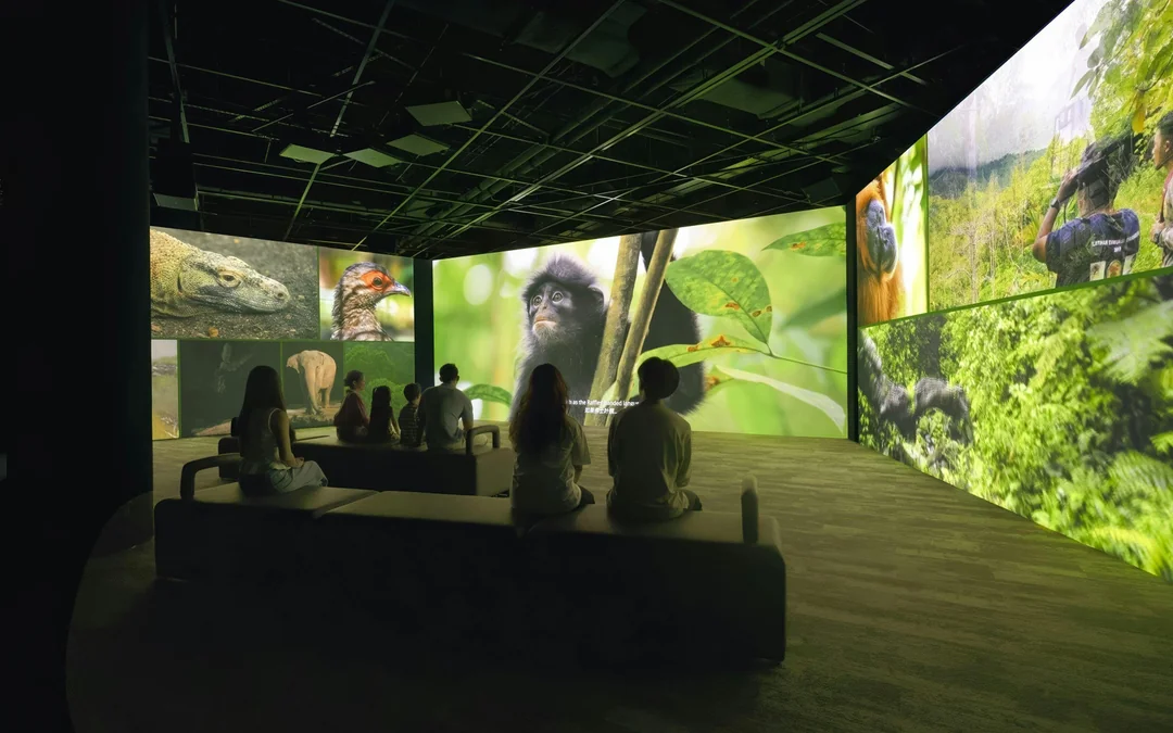 Curiosity Cove Tickets | Mandai Wildlife Reserve Image 5