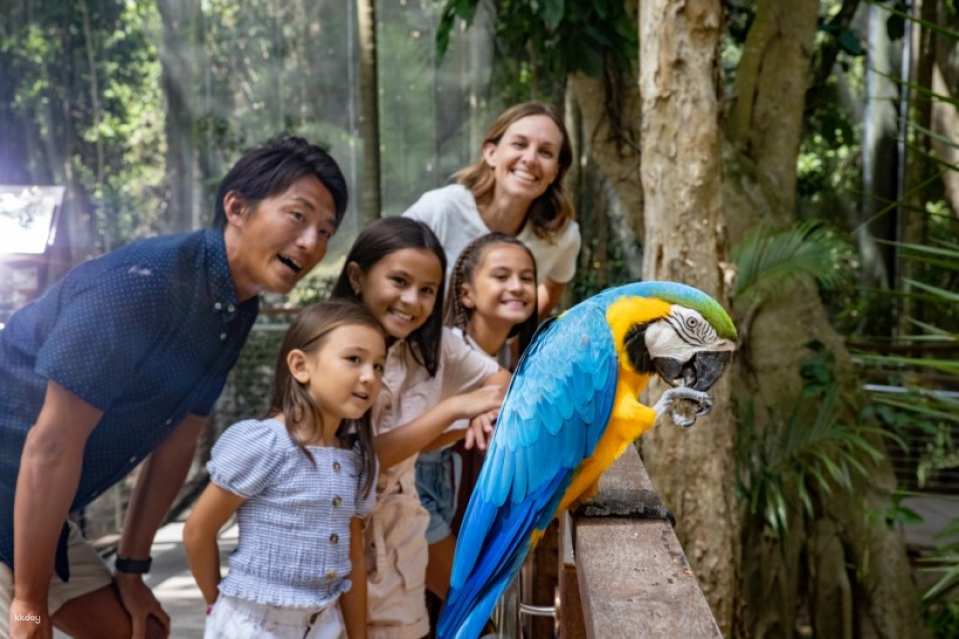 Currumbin Wildlife Sanctuary Ticket | Gold Coast