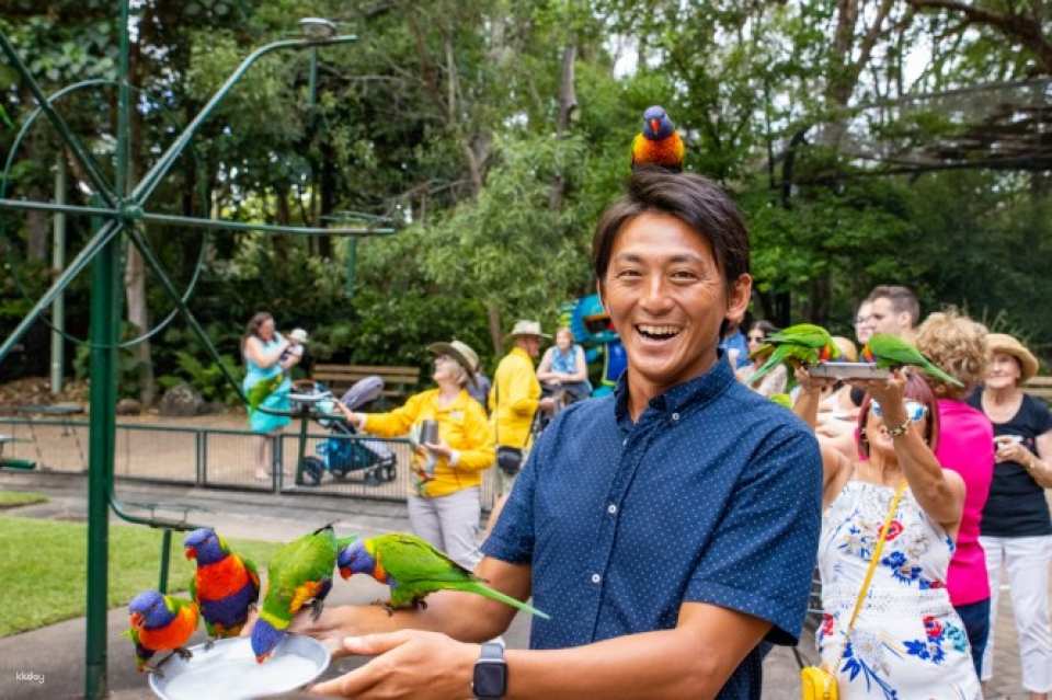 Currumbin Wildlife Sanctuary Ticket | Gold Coast