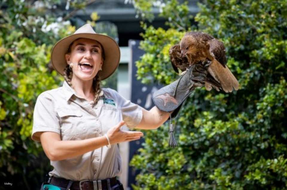 Currumbin Wildlife Sanctuary Ticket | Gold Coast
