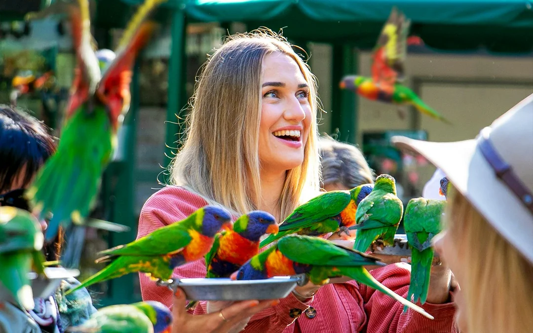 Currumbin Wildlife Sanctuary Tickets Image 1