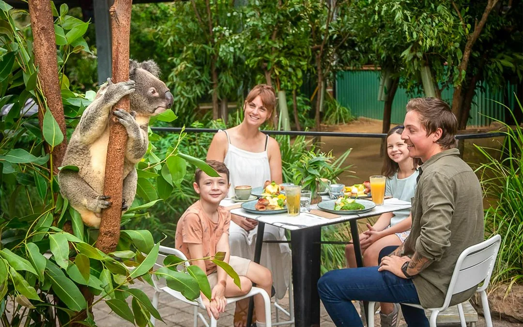 Currumbin Wildlife Sanctuary Tickets Image 2