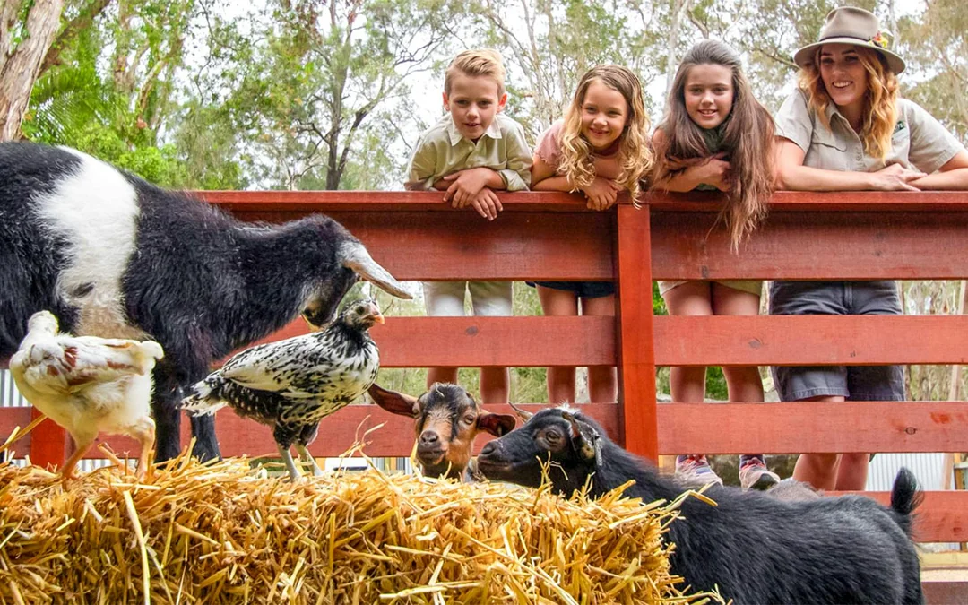 Currumbin Wildlife Sanctuary Tickets Image 3