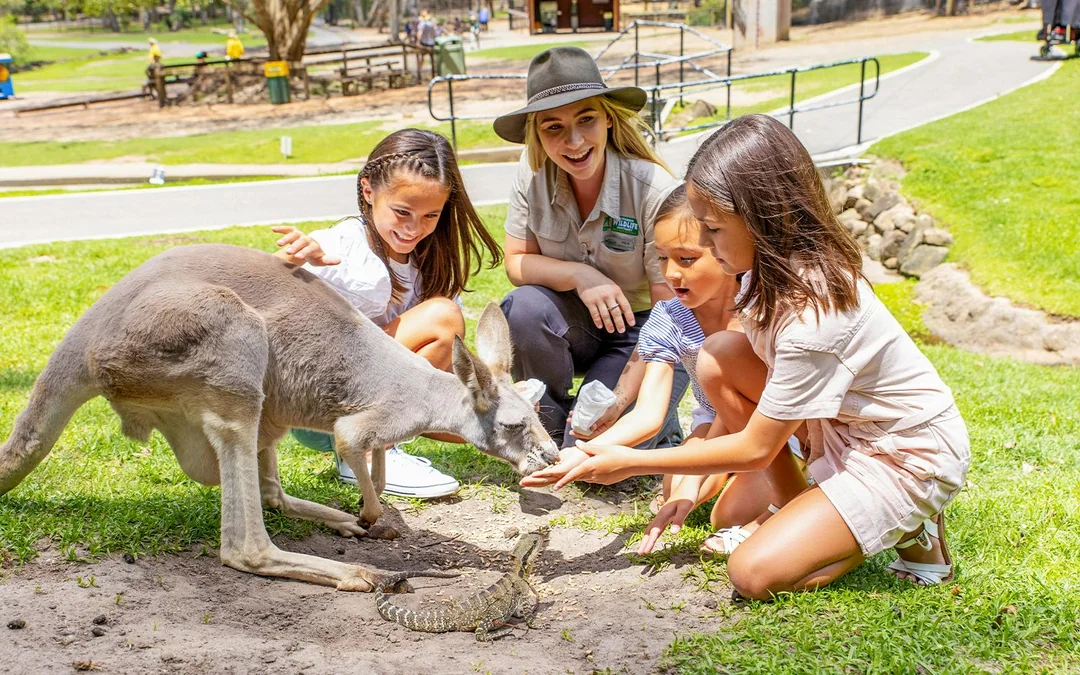 Currumbin Wildlife Sanctuary Tickets Image 4