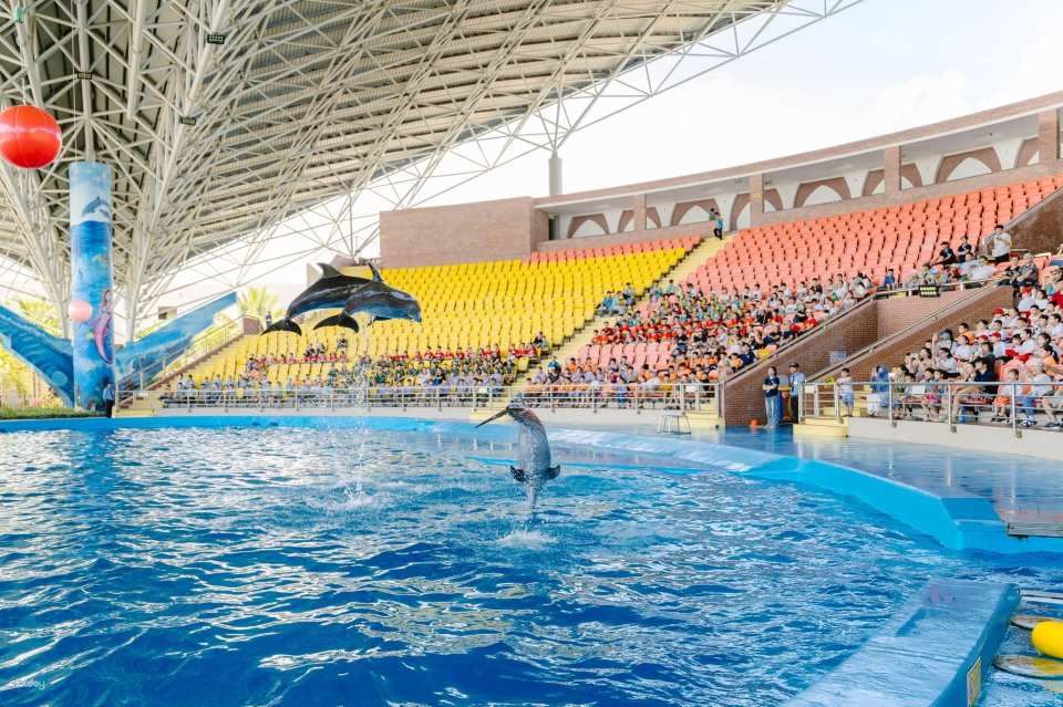 Da Nang Dolphinarium Theme Park Ticket | Da Nang