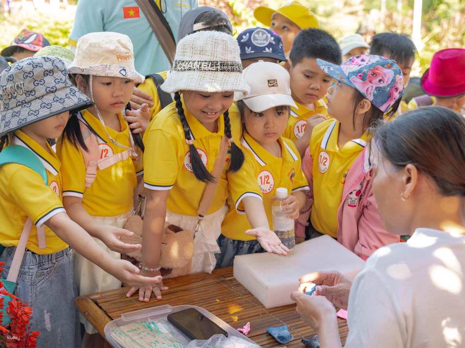 Da Nang Dolphinarium Theme Park Ticket | Da Nang