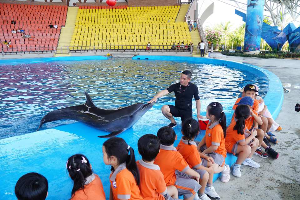 Da Nang Dolphinarium Theme Park Ticket | Da Nang