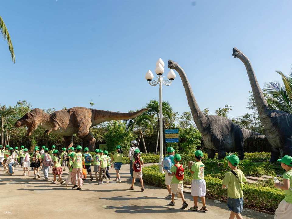 Da Nang Dolphinarium Theme Park Ticket | Da Nang