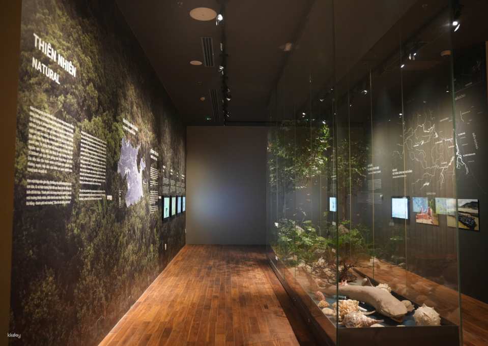 Da Nang Museum | DaNang